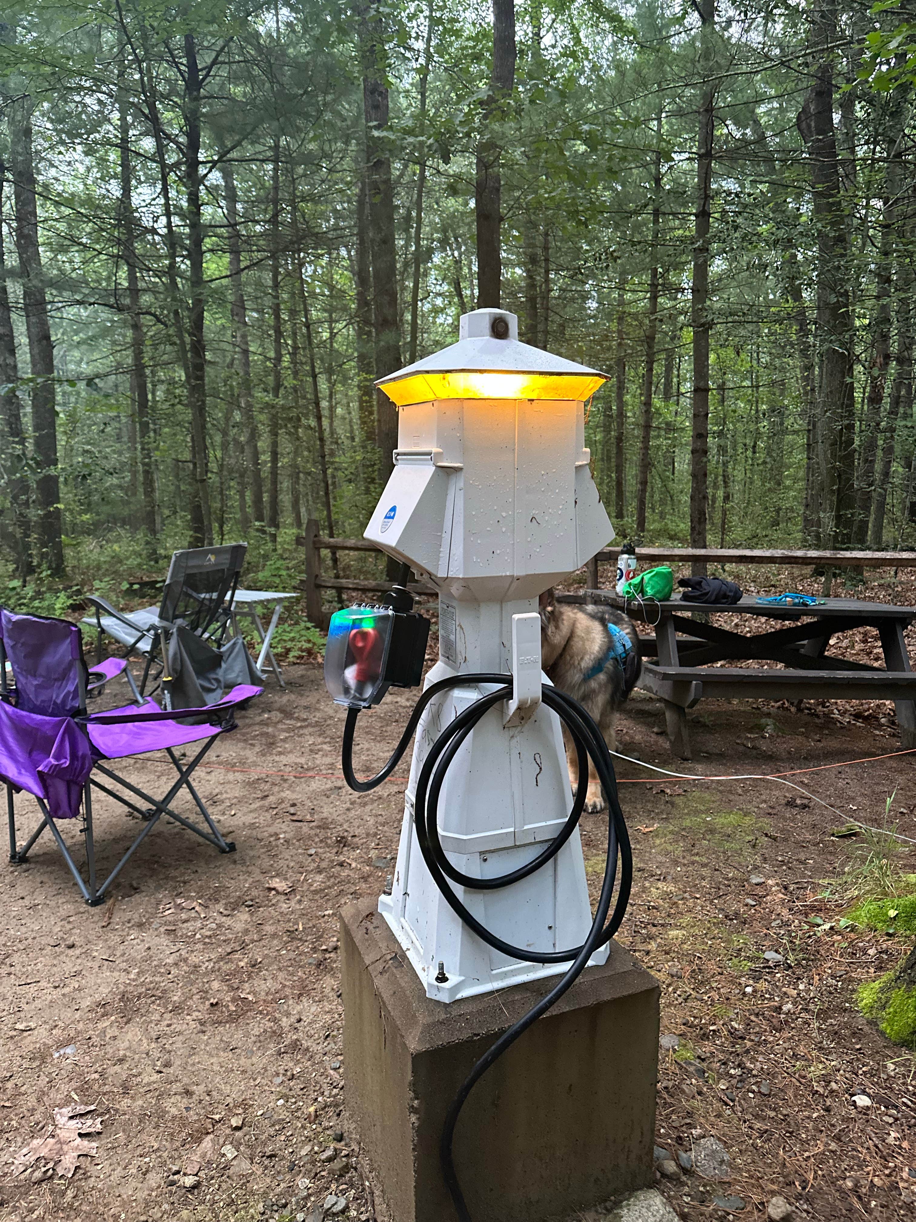 Joe B.'s photo of camping with pets at Wompatuck State Park Campground near Walpole, MA