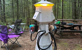 Joe B.'s photo of camping with pets at Wompatuck State Park Campground near Kingston, MA