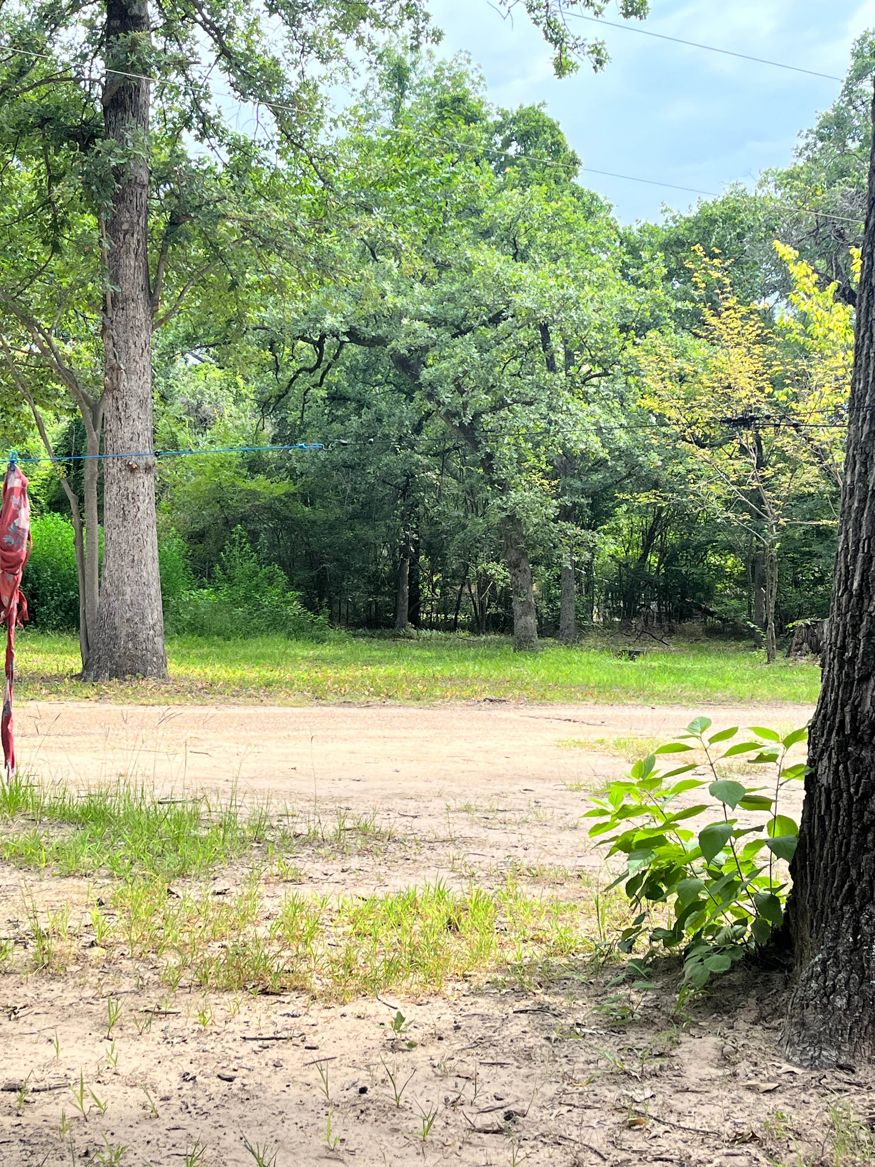 Camper submitted image from Shiloh on the Lake - 4