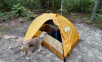 lois !.'s photo at Mooney Gap Trailhead Campsite near Sky Valley, GA