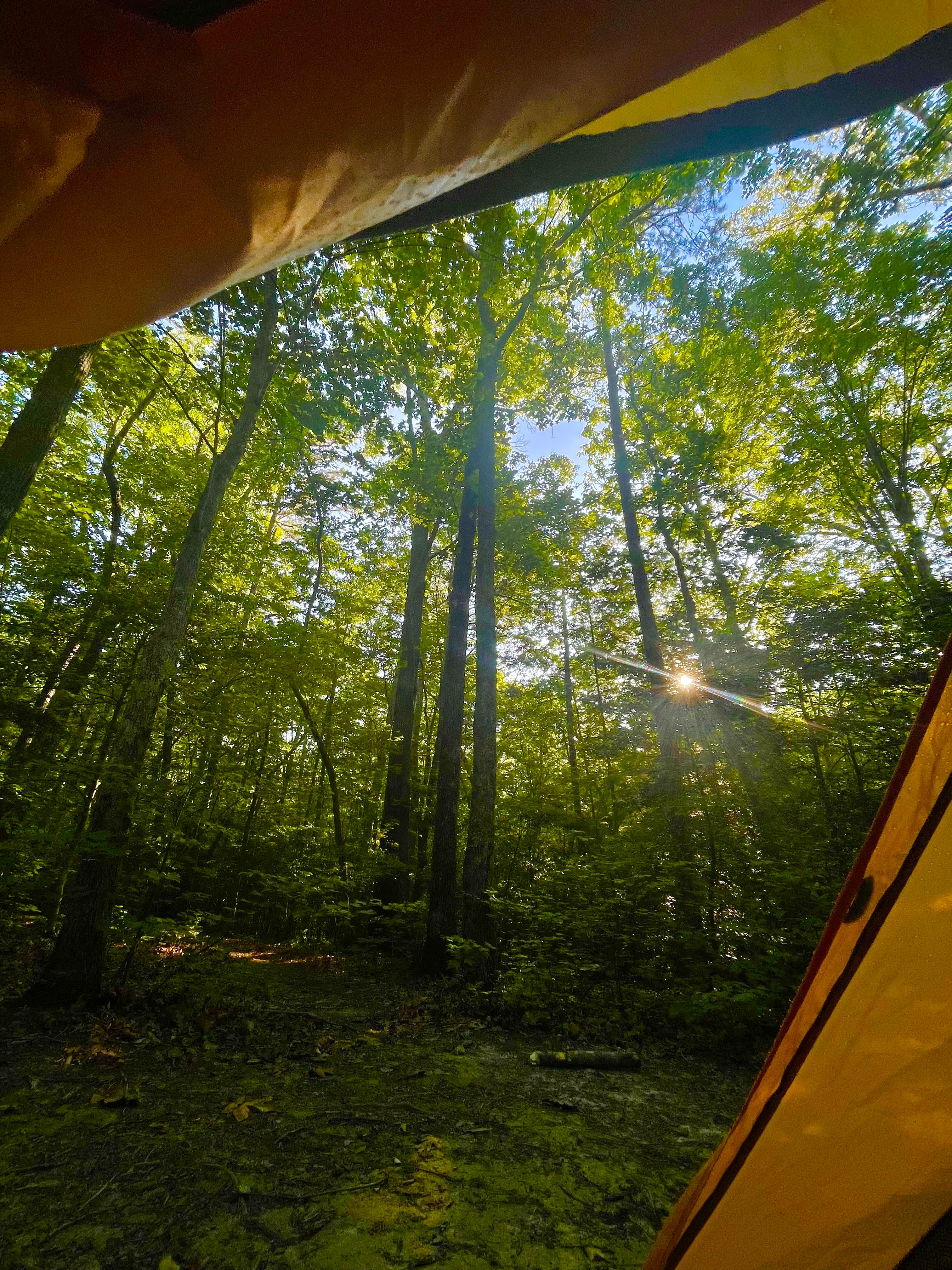 Camper submitted image from Mooney Gap Trailhead Campsite - 1