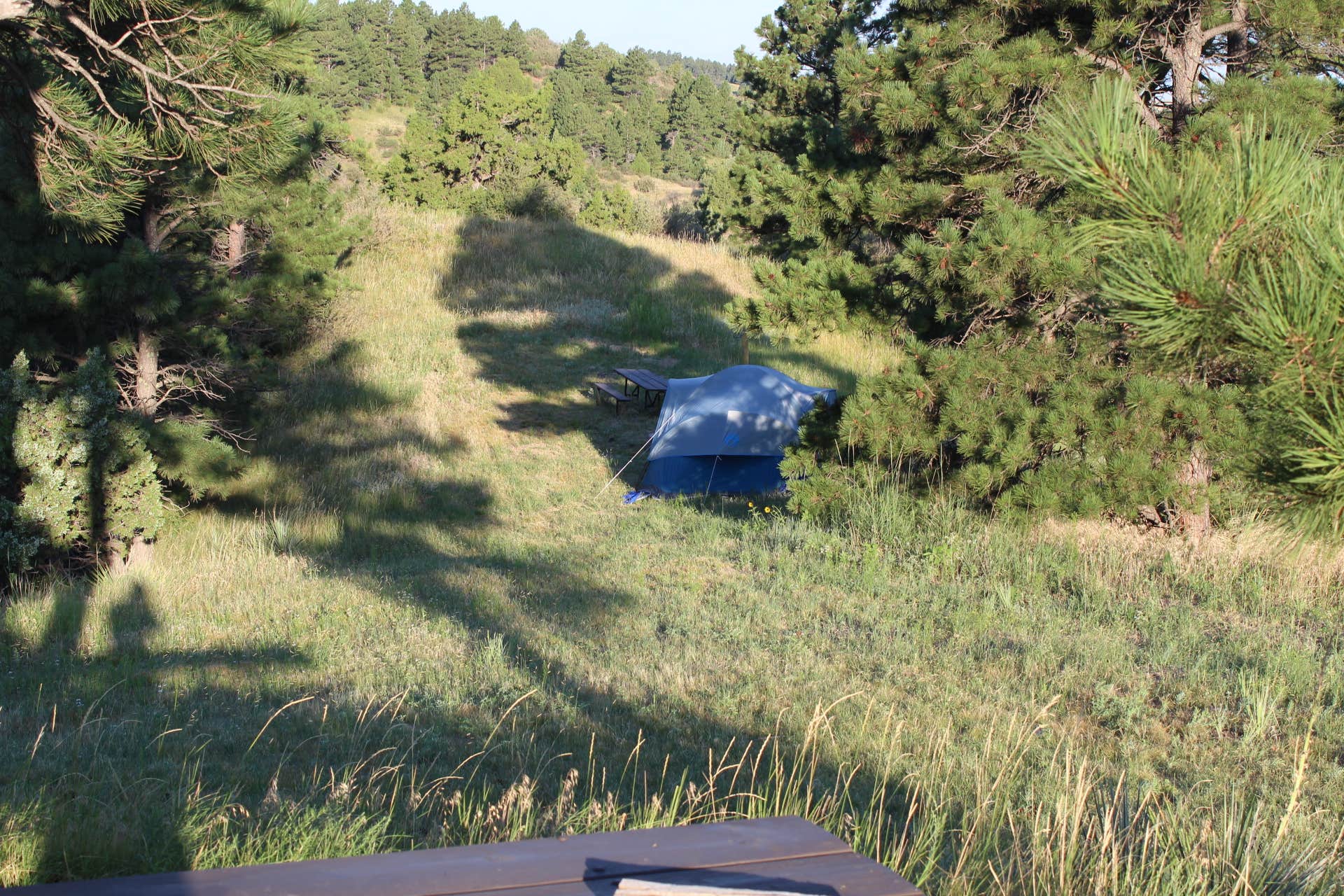 Camper submitted image from Wildcat Hills State Recreation Area - 5