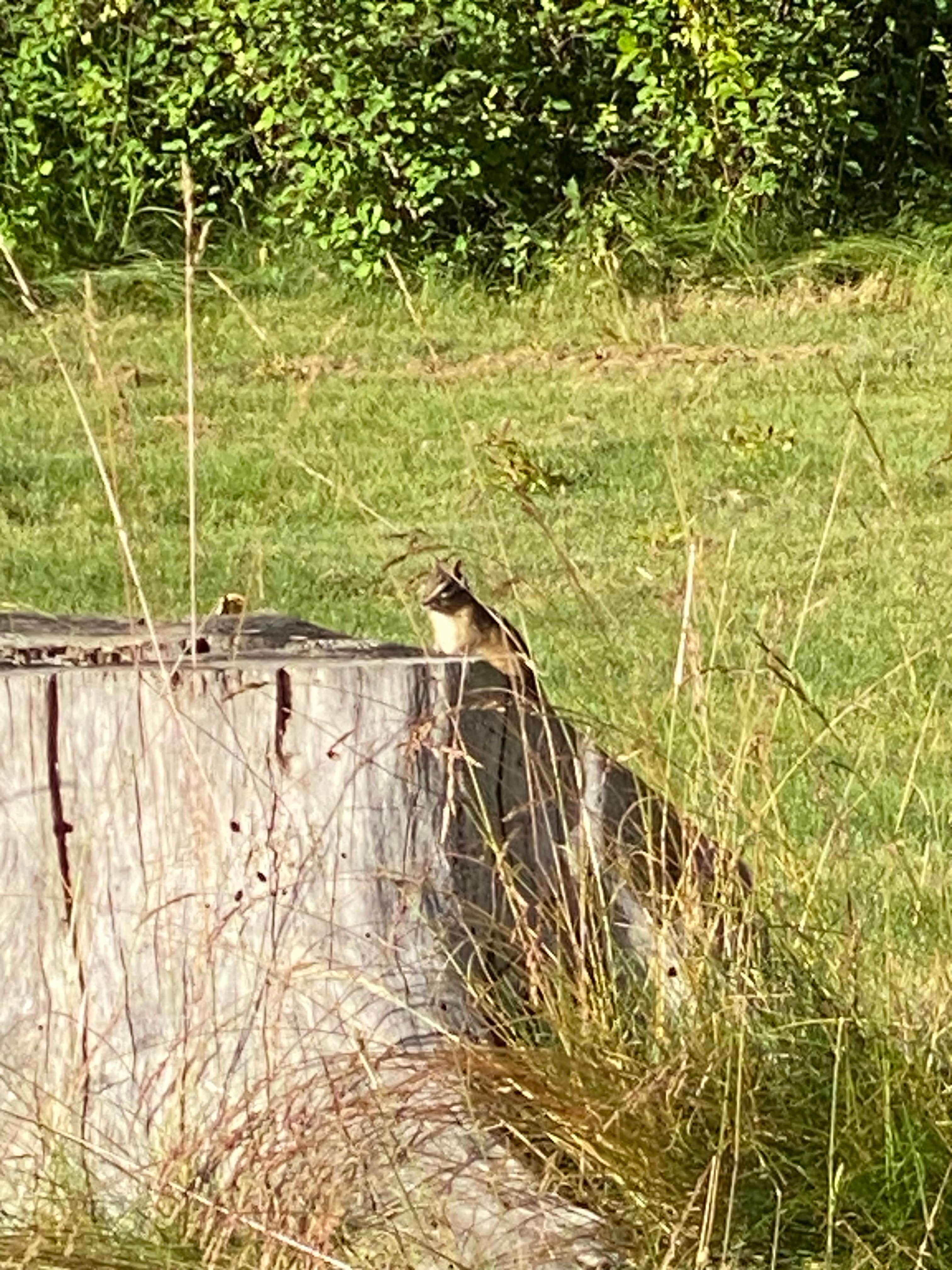 Camper-submitted photo at Mica Bay Boater Park Camping near Spokane, WA