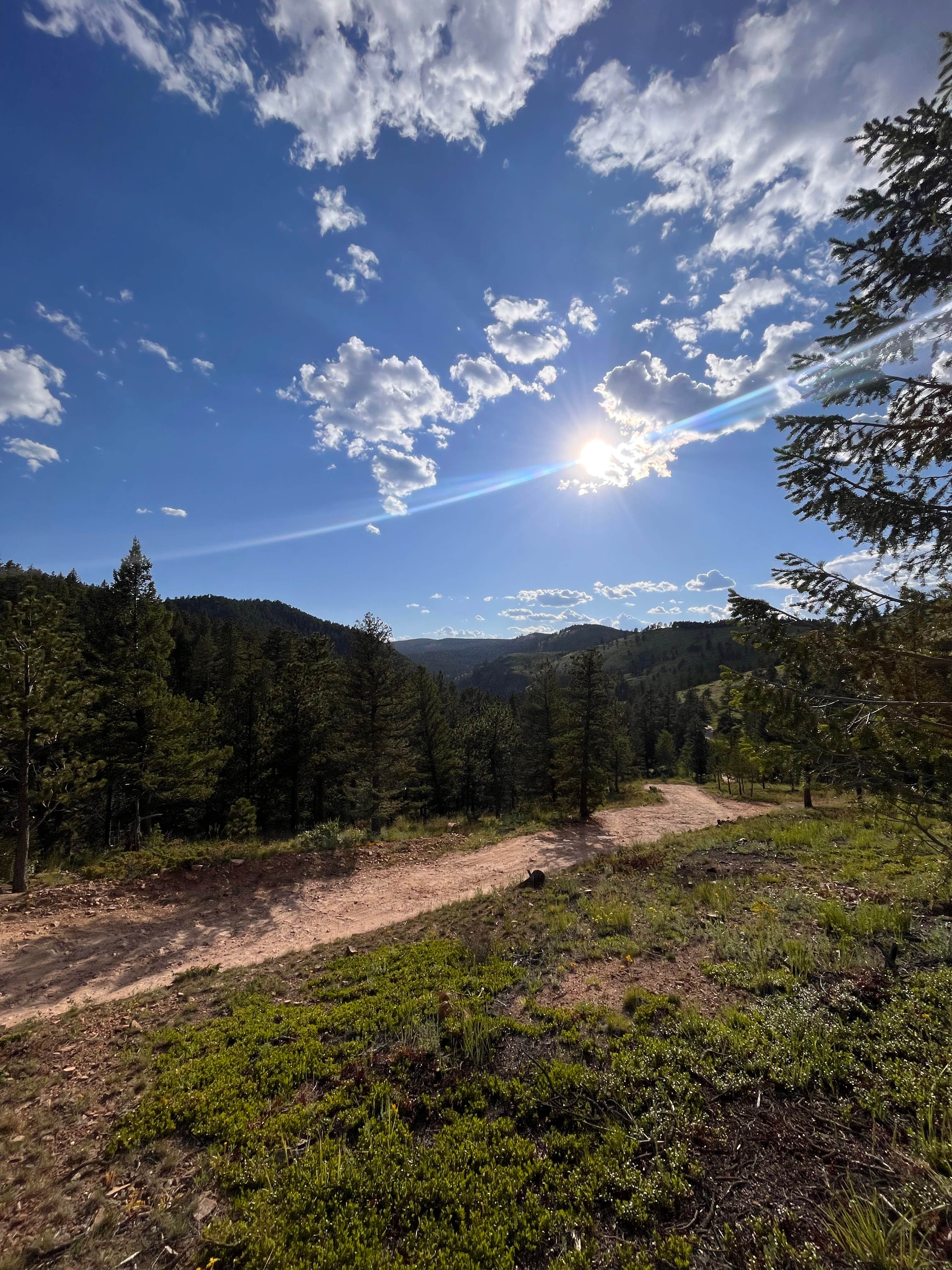 Camper submitted image from Gross Reservoir Dispersed - 3