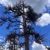 Review photo of Winiger Ridge at Gross Reservoir by Jace R., July 4, 2023