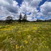 Review photo of Winiger Ridge at Gross Reservoir by Jace R., July 4, 2023