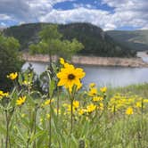 Review photo of Winiger Ridge at Gross Reservoir by Jace R., July 4, 2023