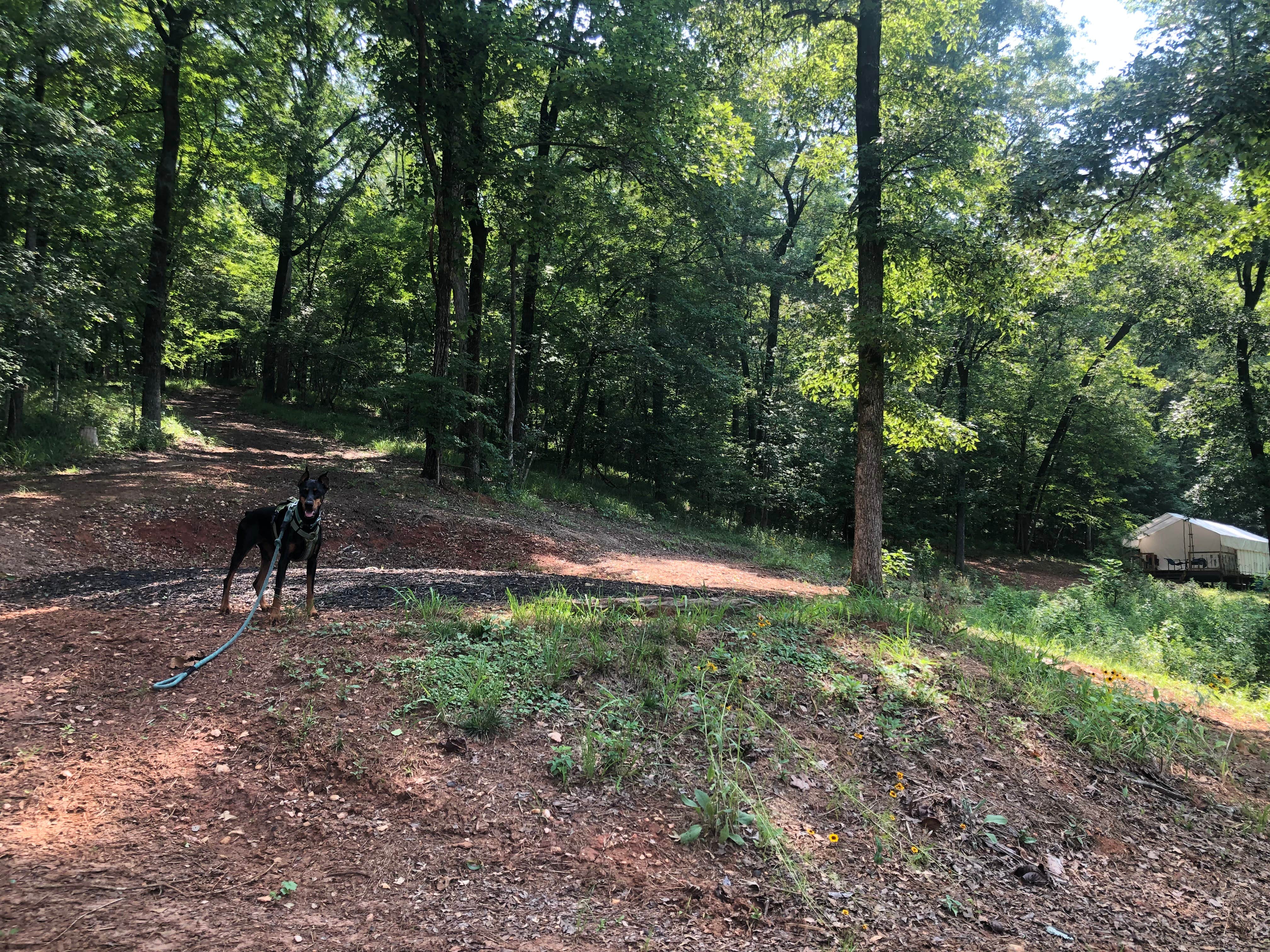 Michelle S.'s photo at Hideaway Cove near Tuskegee, AL