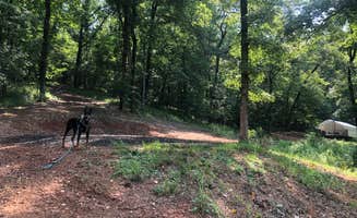 Michelle S.'s photo at Hideaway Cove near Prattville, AL