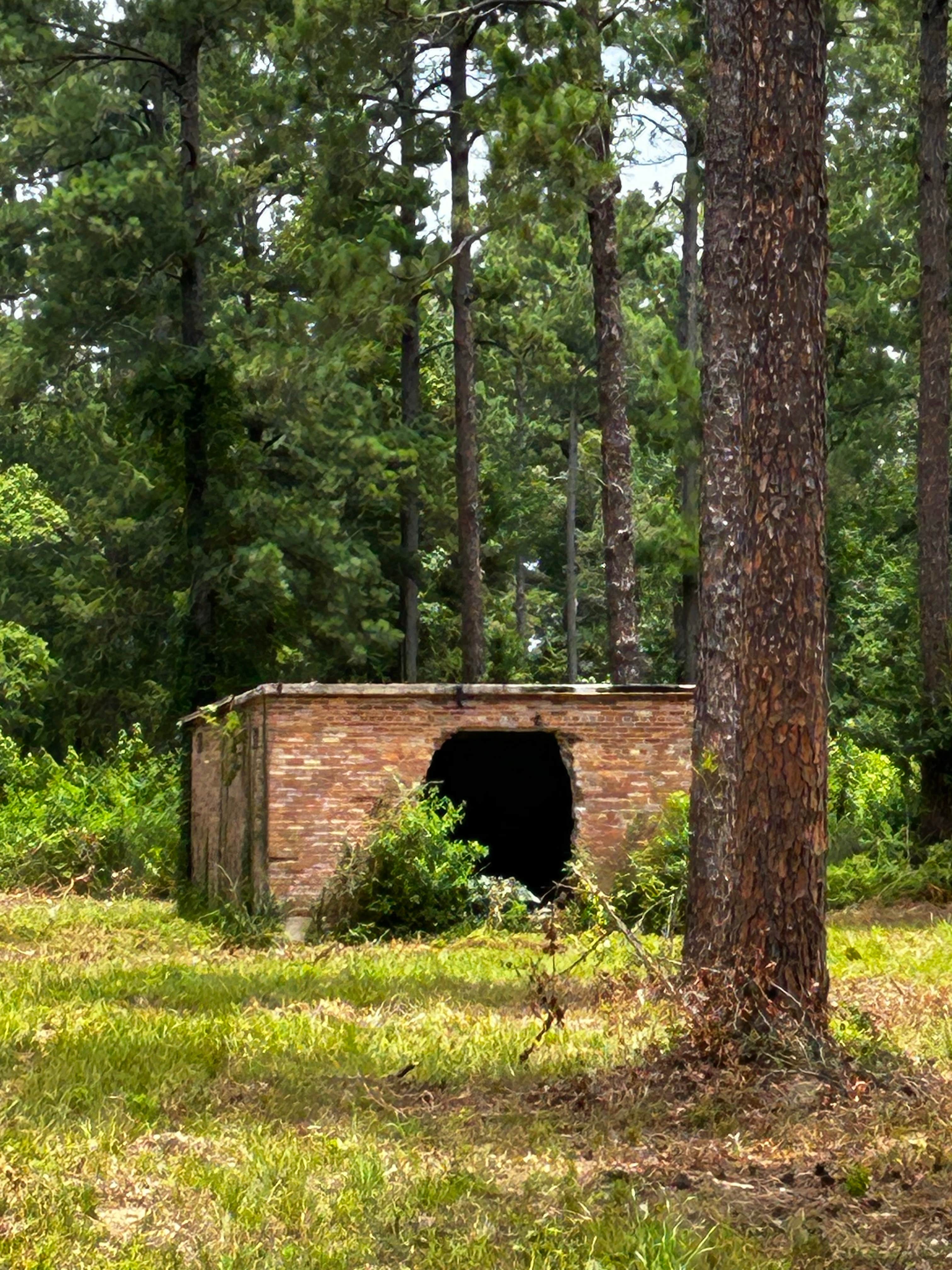 Camper submitted image from Kisatchie National Forest Loran/Claiborne Trailhead Camp - 1