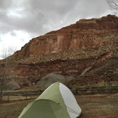 Review photo of Fruita Campground — Capitol Reef National Park by Justin S., August 21, 2016