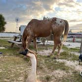 Review photo of Bohemian Freedom Ranch by Debra M., July 4, 2023