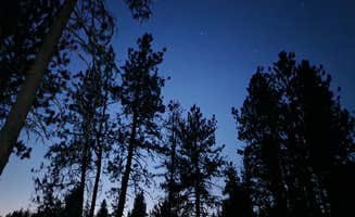 Michael W.'s photo of a dispersed camping area at Wallowa-Whitman NF 21 - Dispersed near Summerville, OR