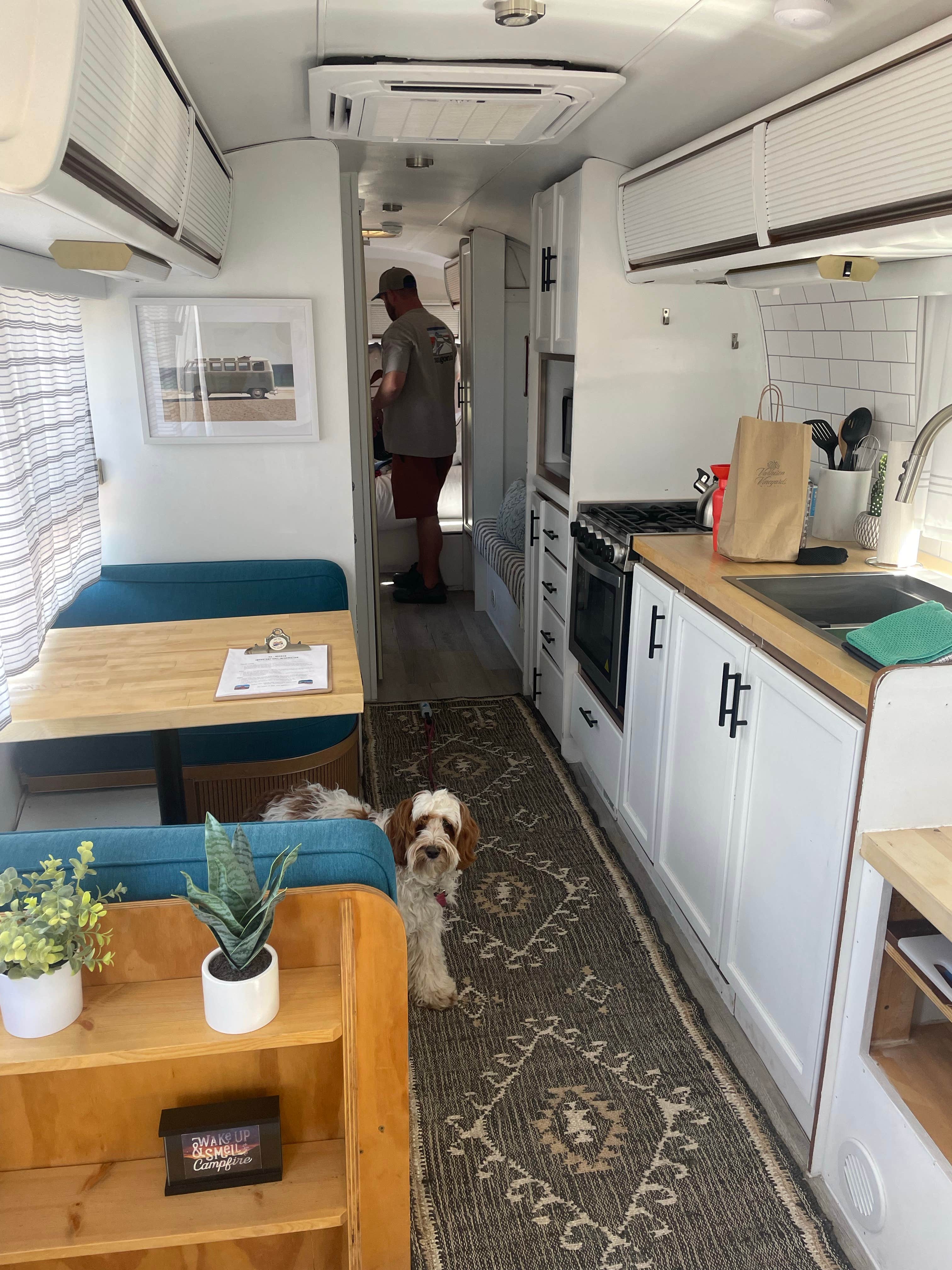 Cassie B.'s photo of camping with pets at Camp Eddy near Palisade, CO