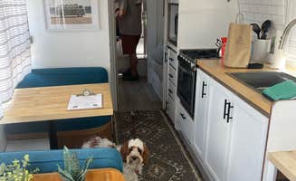 Cassie B.'s photo of camping with pets at Camp Eddy near Fruita, CO