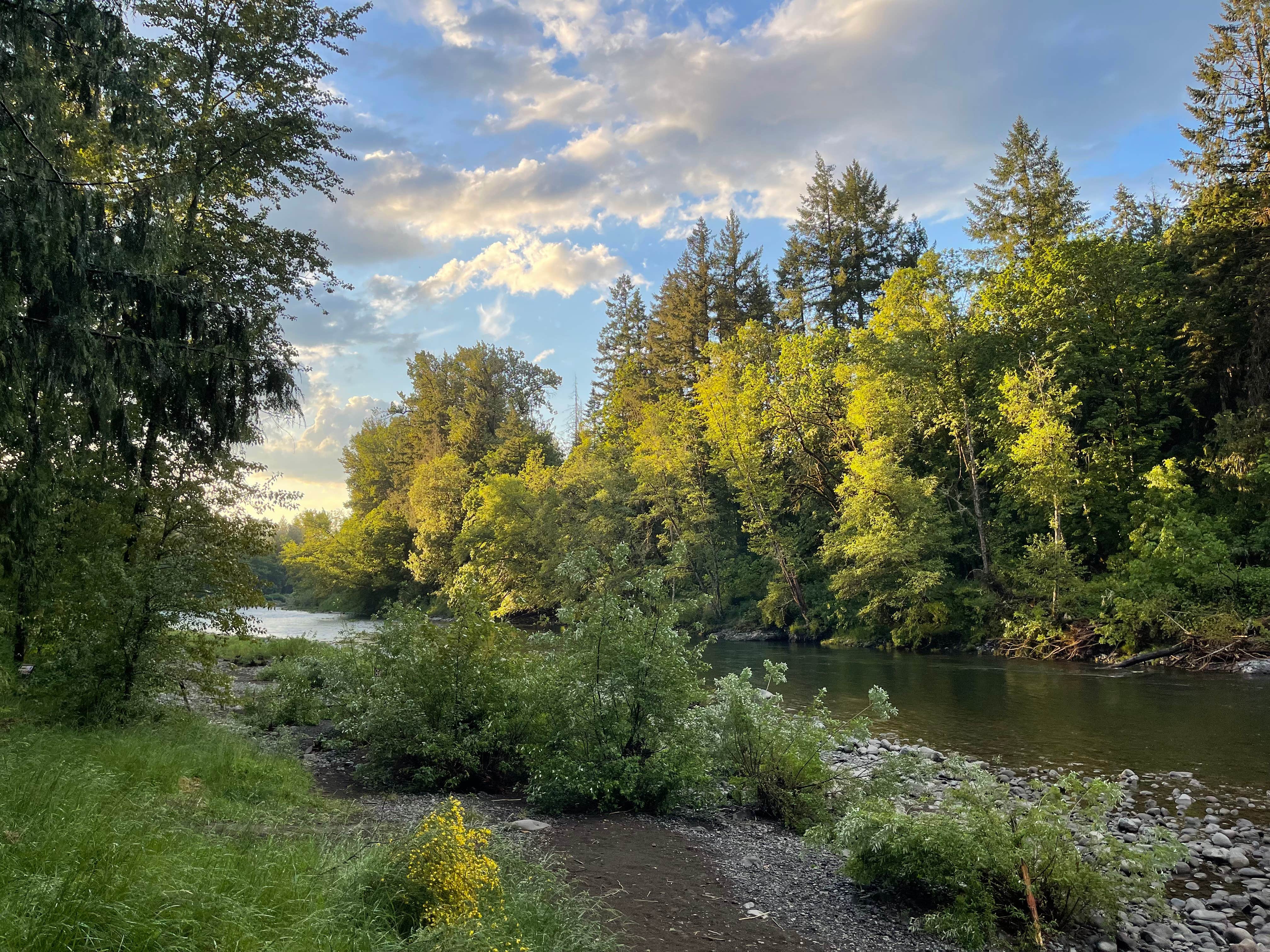 Camper-submitted photo at Feyrer Park near Molalla, OR