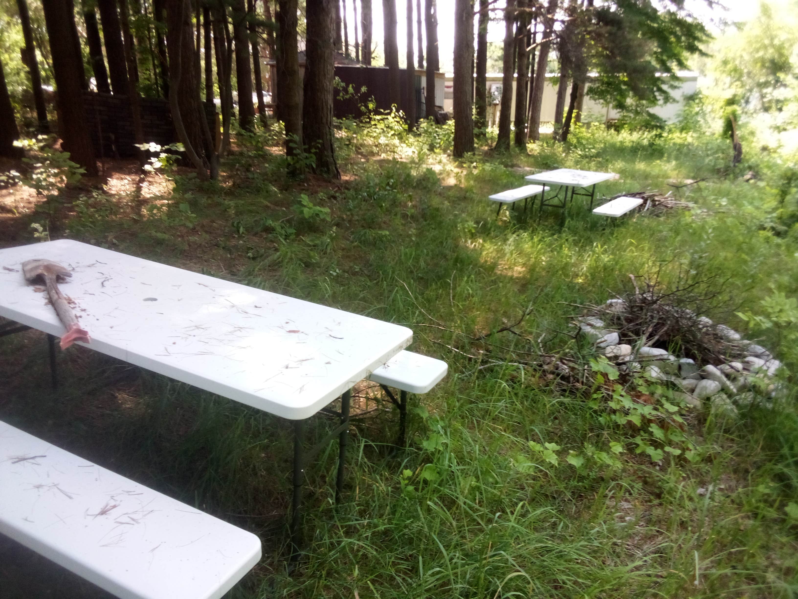 Camper-submitted photo at C3 farm trust near Elmira, MI