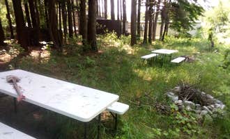 Camping near Beaver Island Bill Wagner Memorial Campground: C3 farm trust, Charlevoix, Michigan