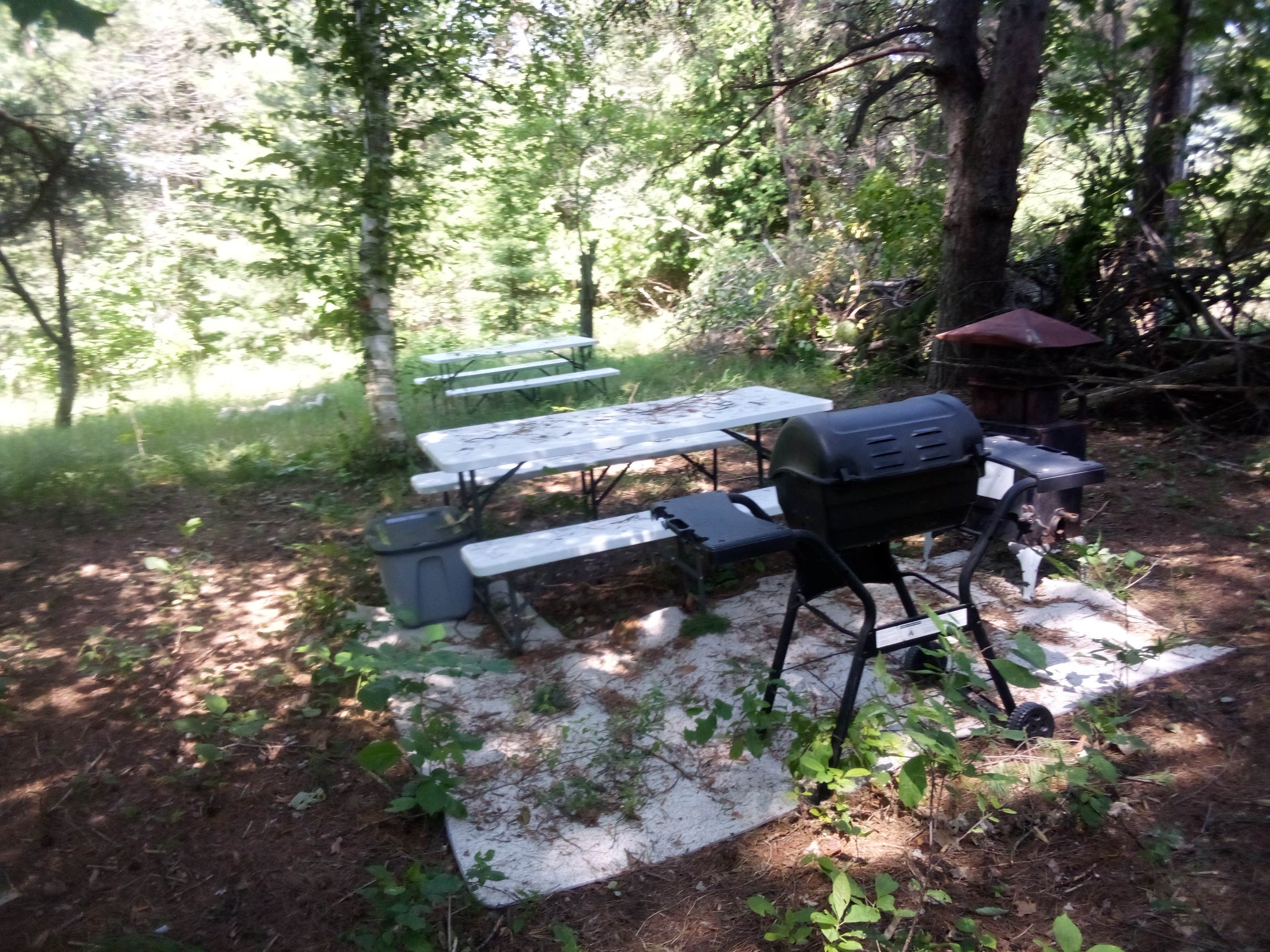 Camper-submitted photo at C3 farm trust near Elmira, MI