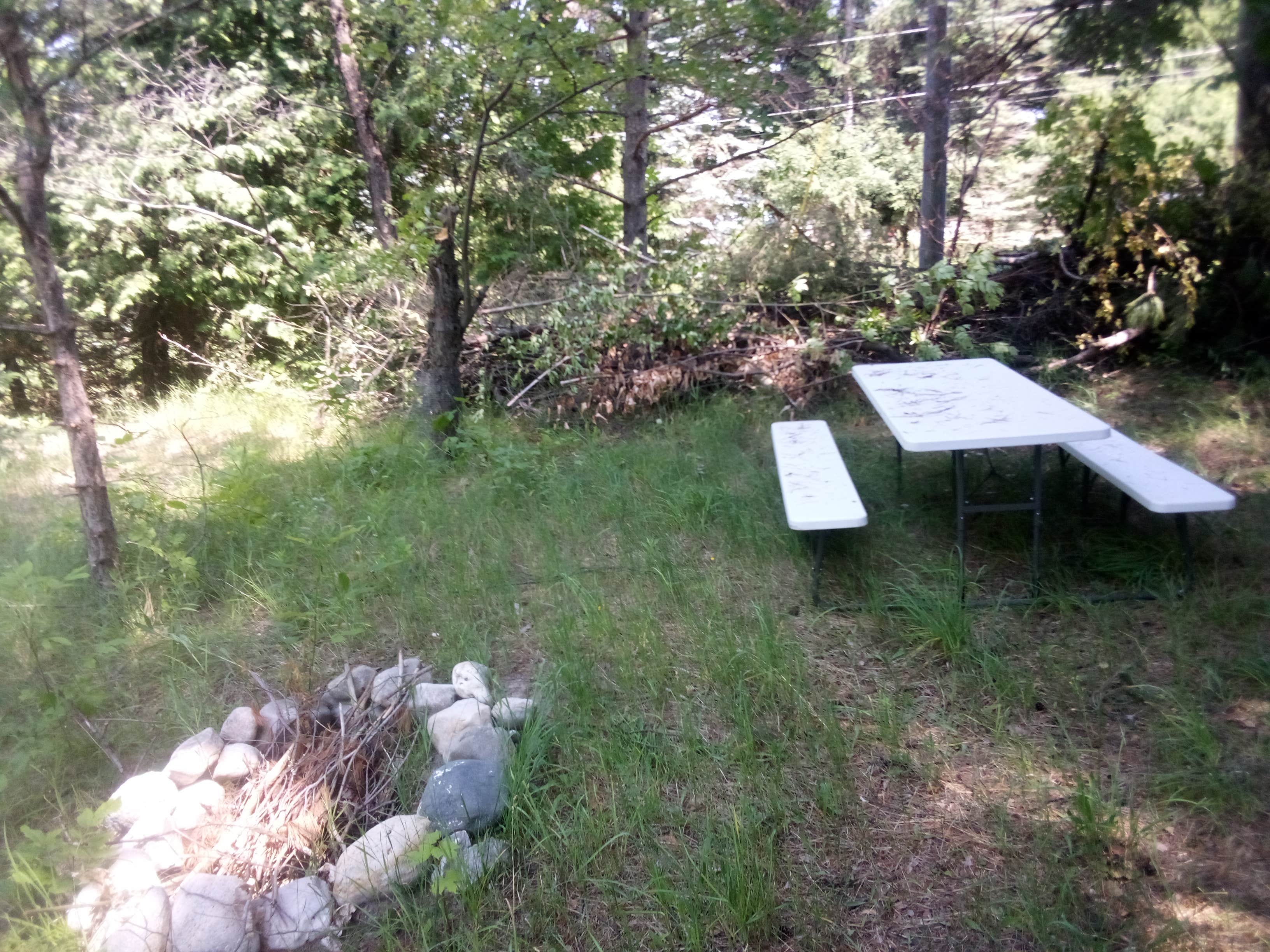 Camper-submitted photo at C3 farm trust near Elmira, MI