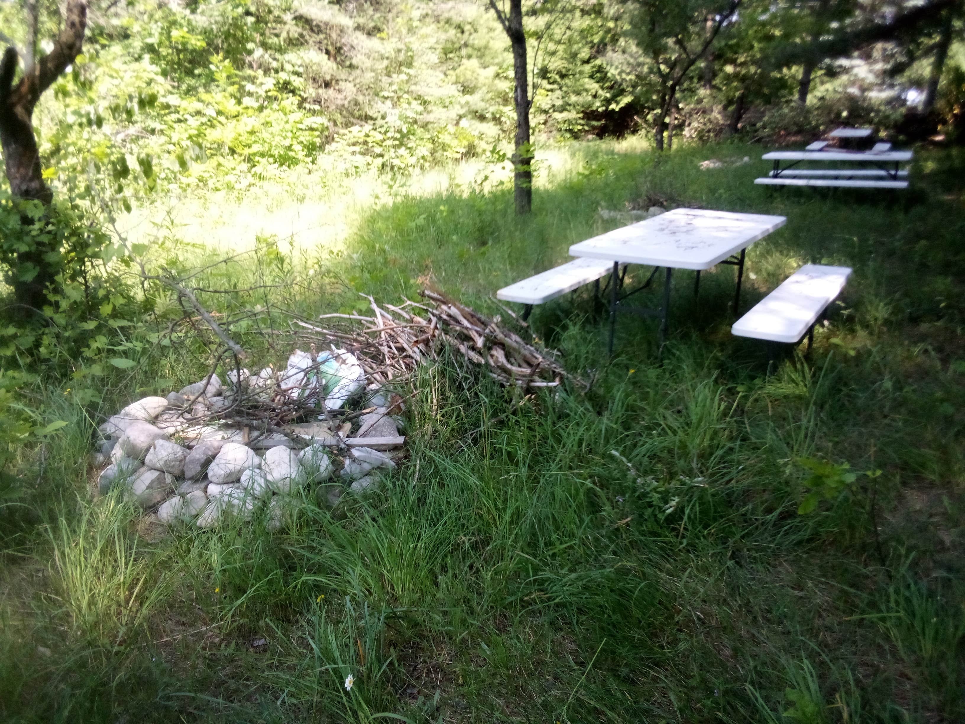 Camper-submitted photo at C3 farm trust near Elmira, MI