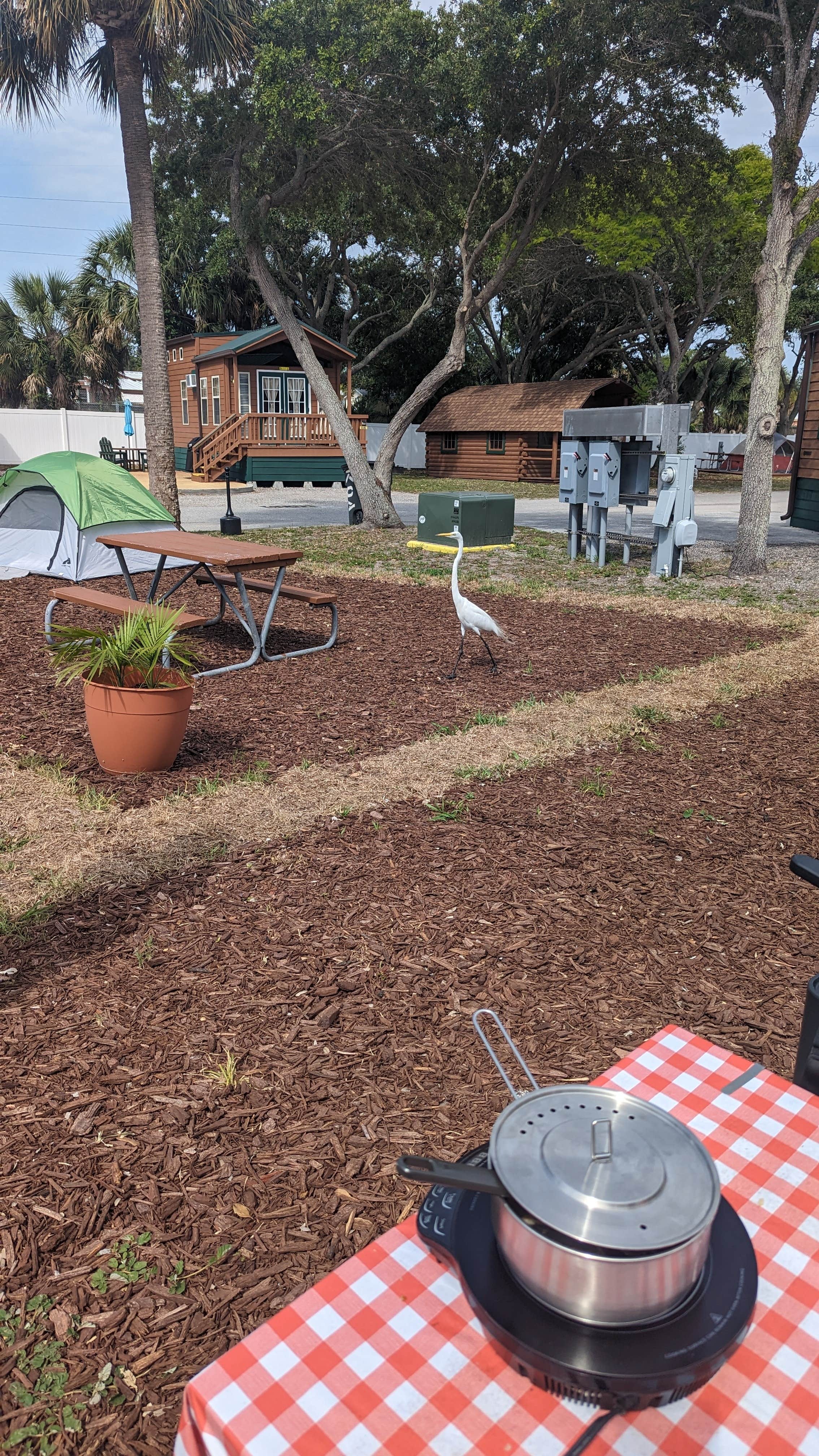 Colin R.'s photo at St. Petersburg-Madeira Beach KOA Holiday near Dunedin, FL