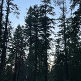 Review photo of Sequoia National Forest Quaking Aspen Campground by Stan H., July 4, 2023