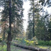 Review photo of Sequoia National Forest Quaking Aspen Campground by Stan H., July 4, 2023