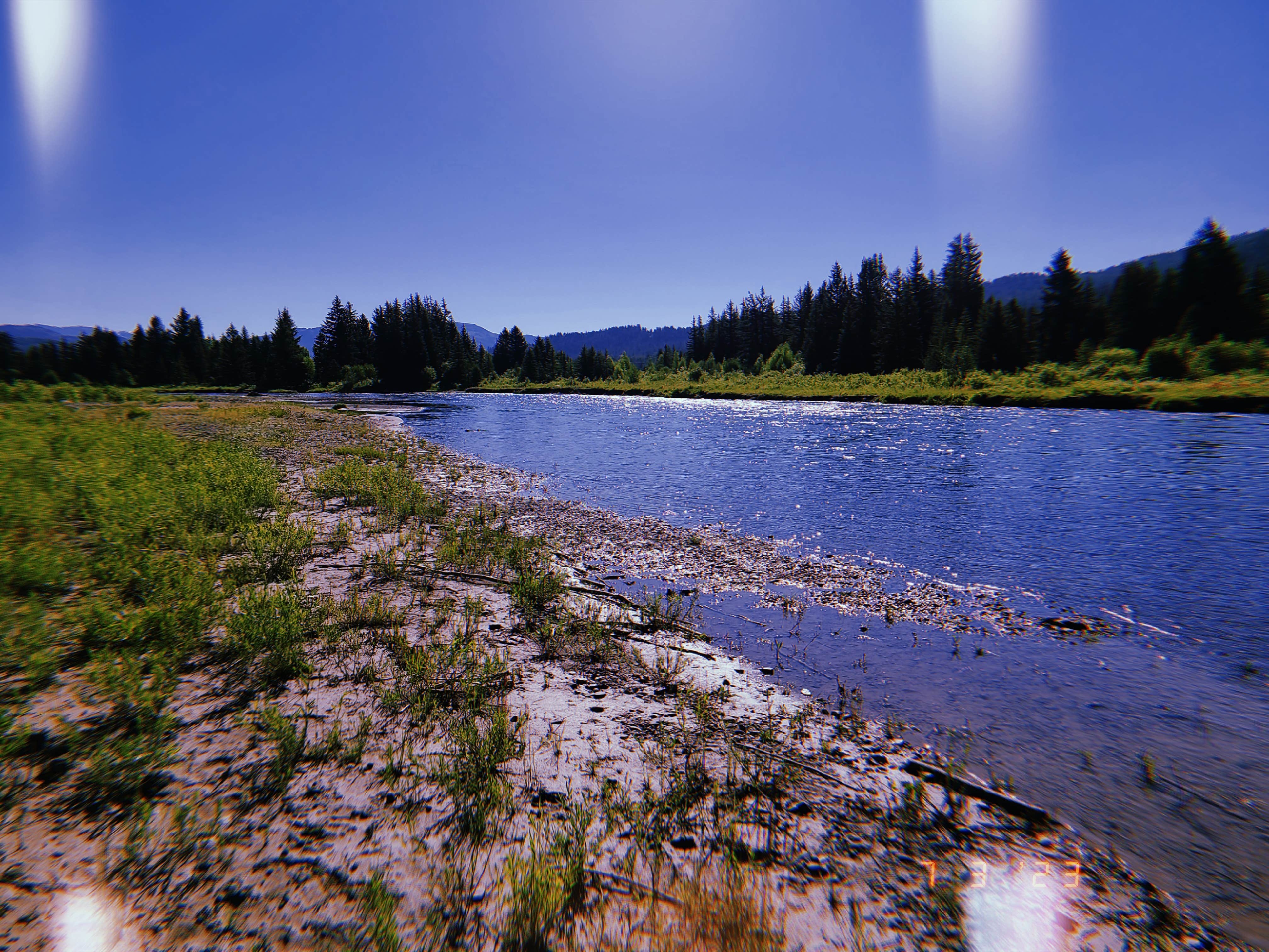 Camper submitted image from Buffalo Valley Designated Dispersed Camping - 4