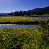 Review photo of Buffalo Valley Designated Dispersed Camping by Laura , July 4, 2023