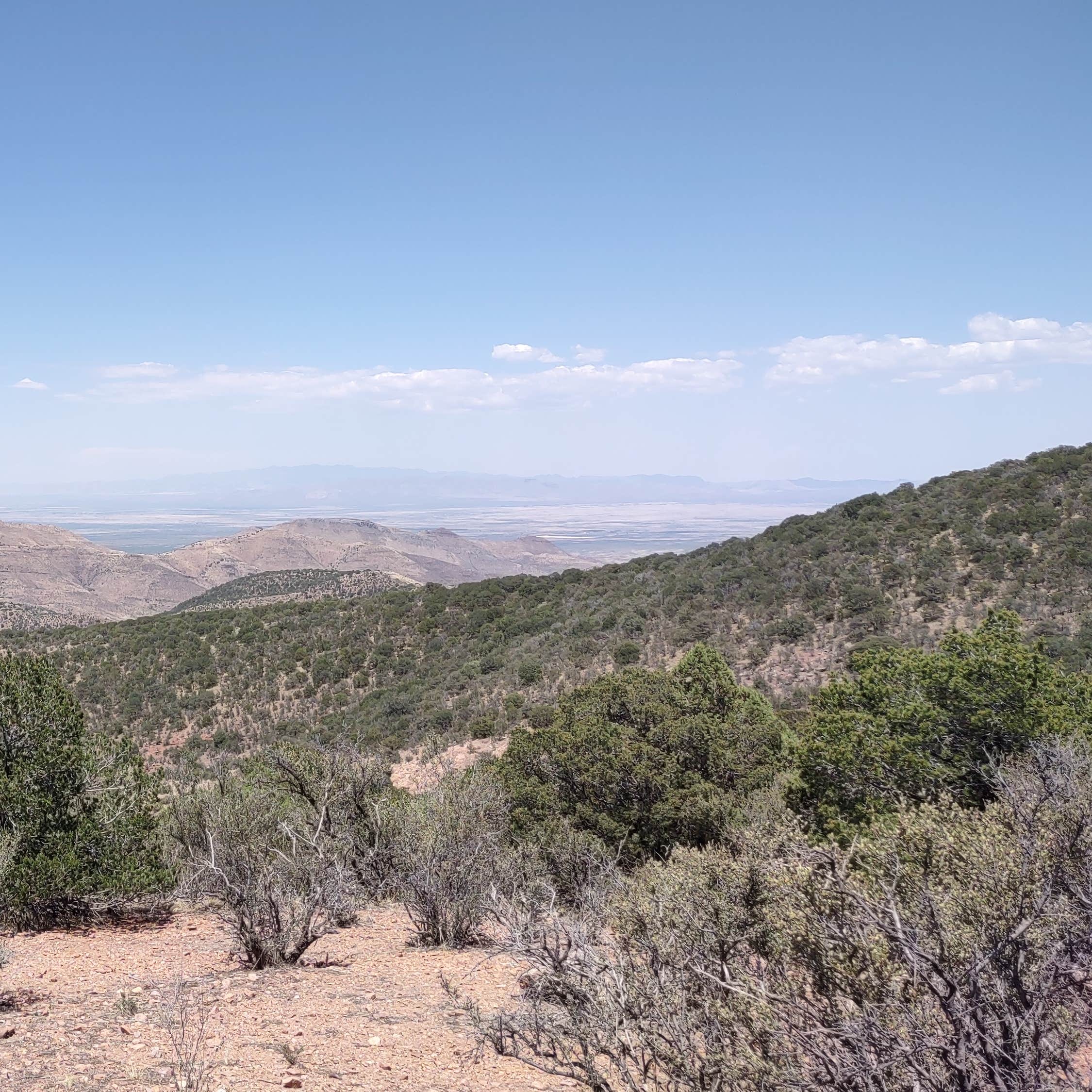 Upper Juniper Flats Road Camping Bisbee, AZ