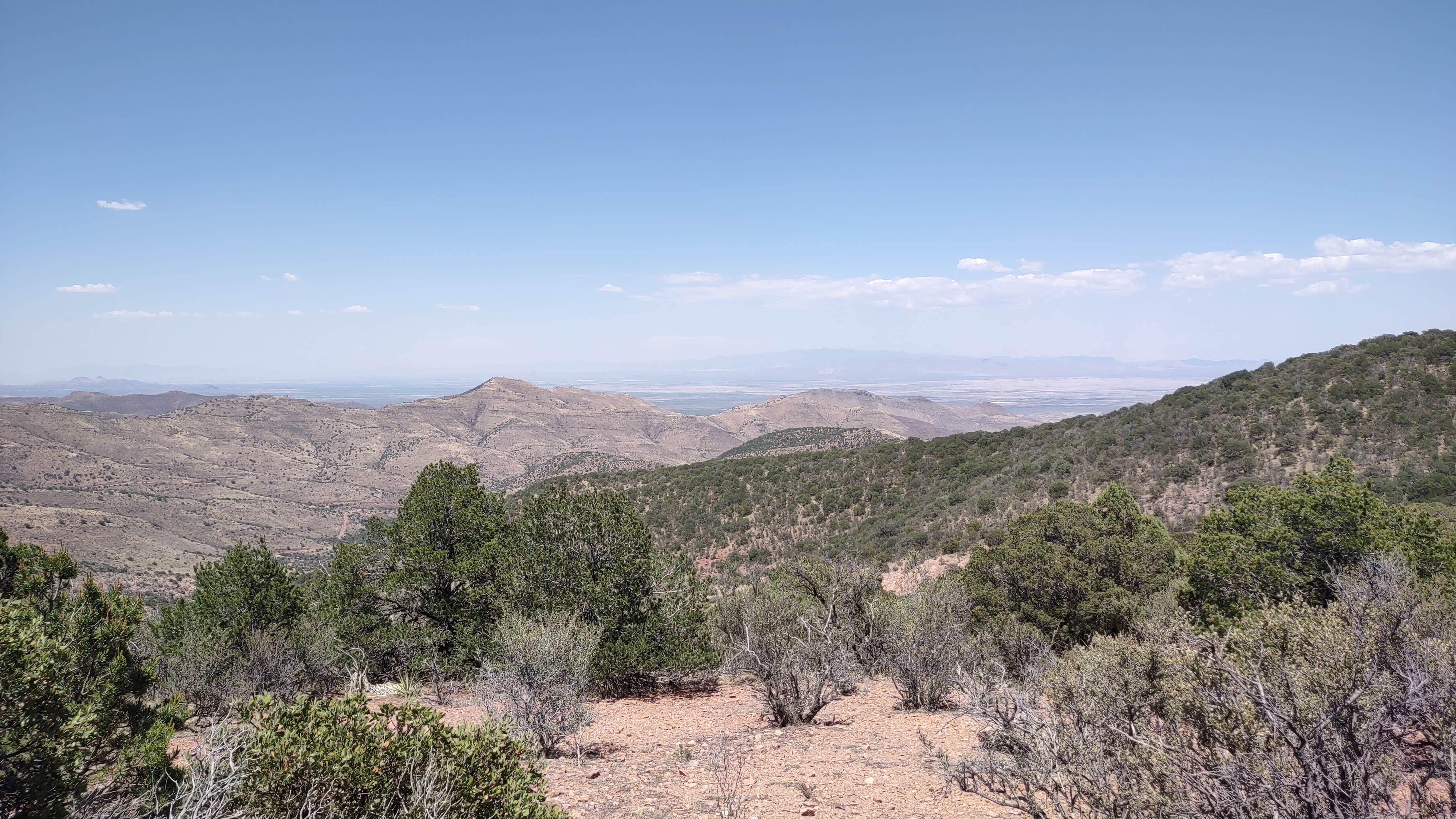 Upper Juniper Flats Road Camping Bisbee, AZ