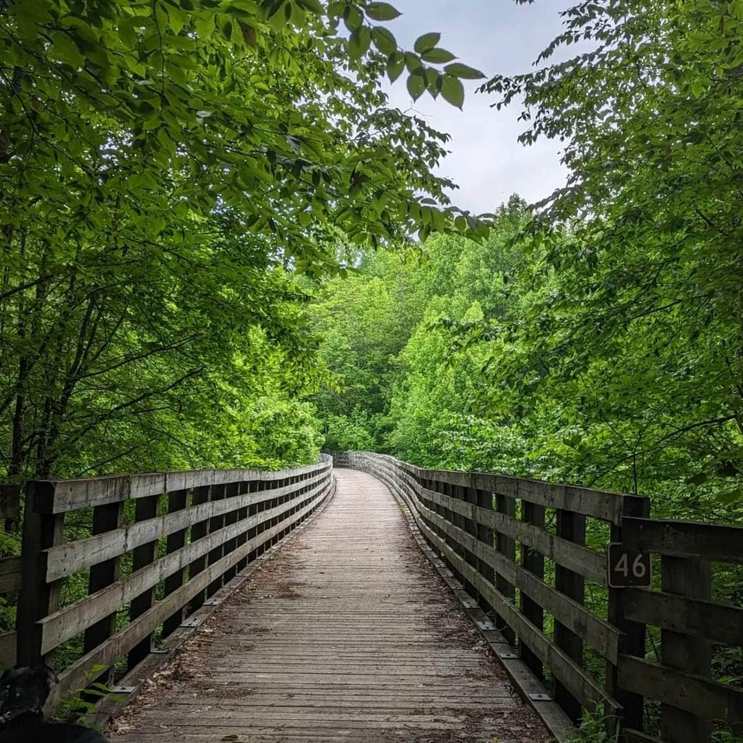 Virginia creeper outlet trail campground