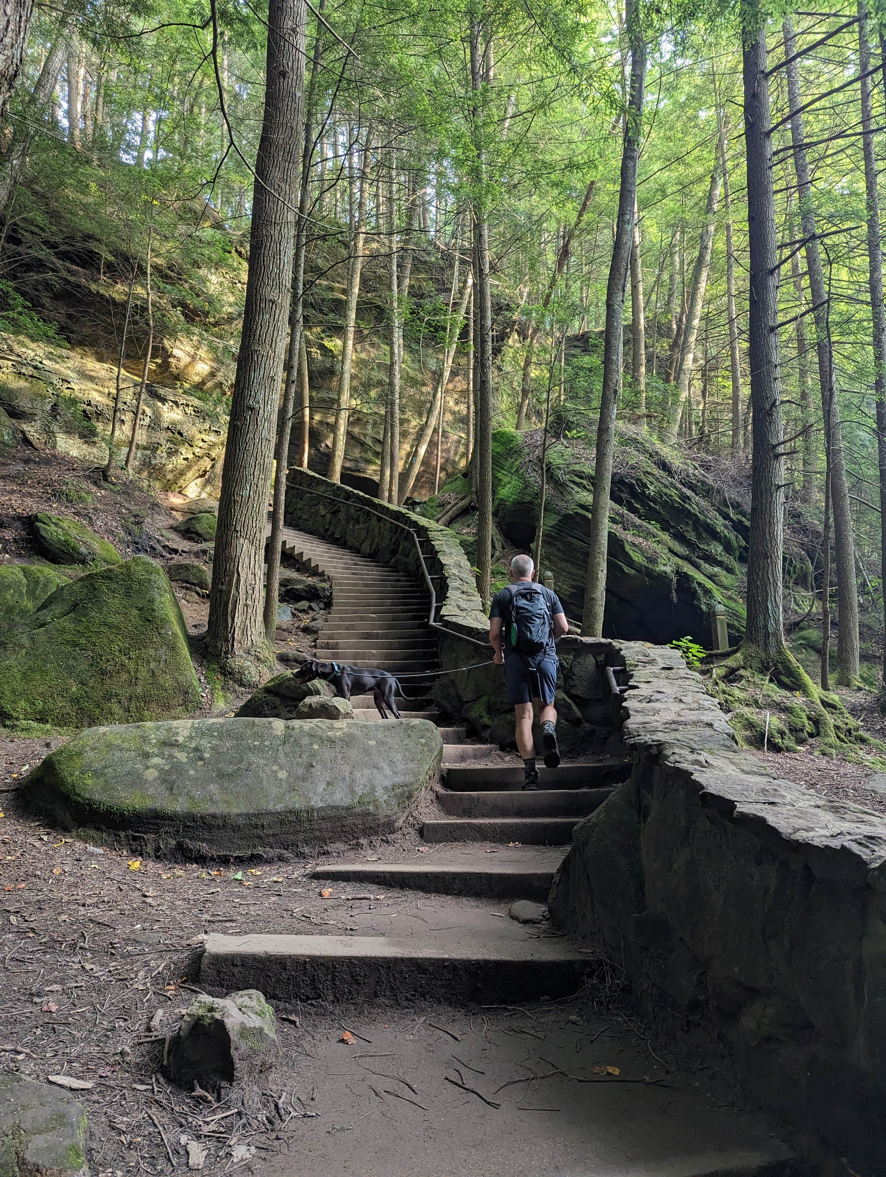 Kristi D.'s photo of camping with pets at Hocking Hills State Park Campground near Canal Winchester, OH