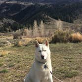 Review photo of McDonald Flats Campground by Kristin A., October 22, 2018