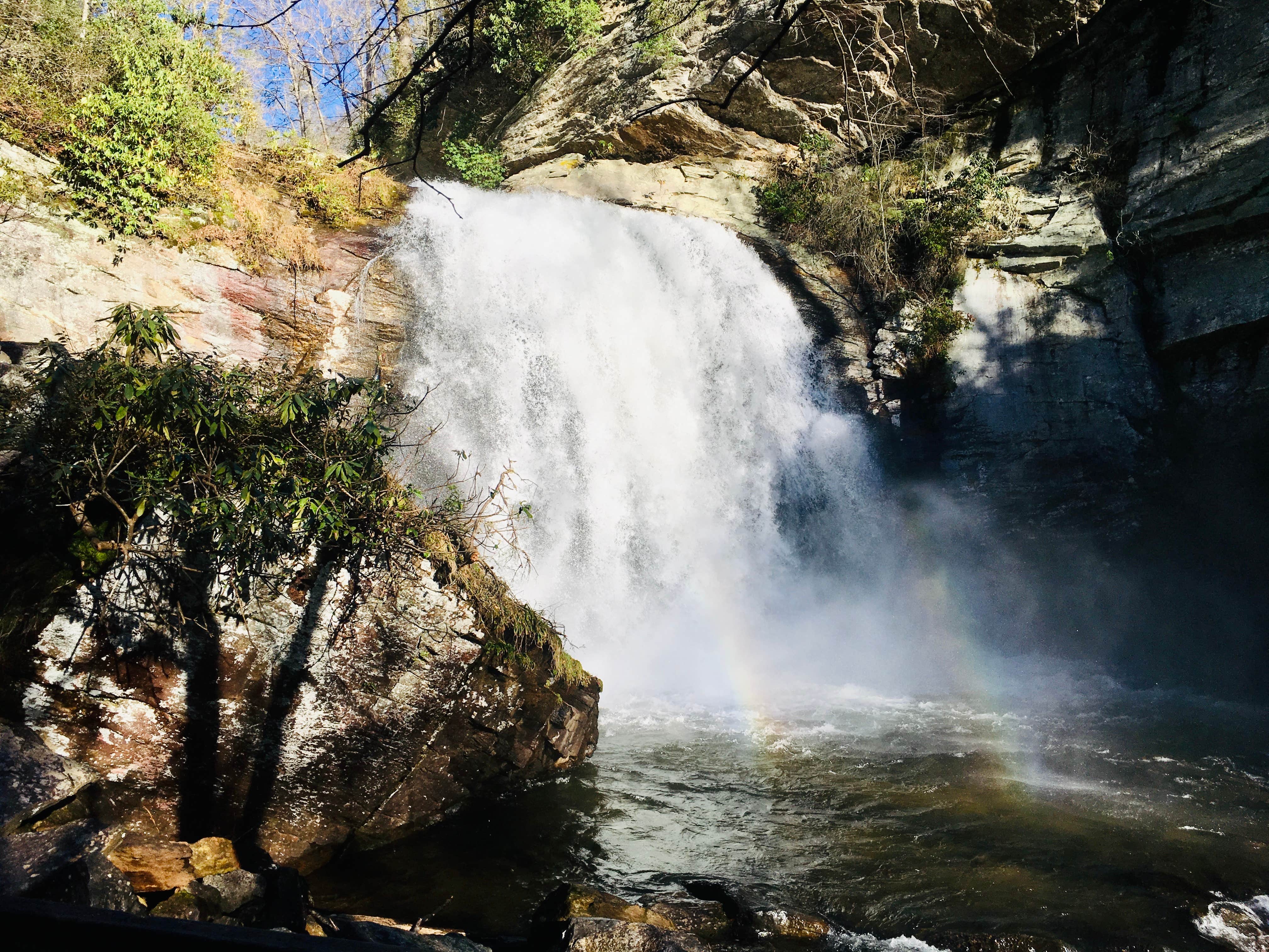 Camper submitted image from Pisgah National Forest Davidson River Campground - 2