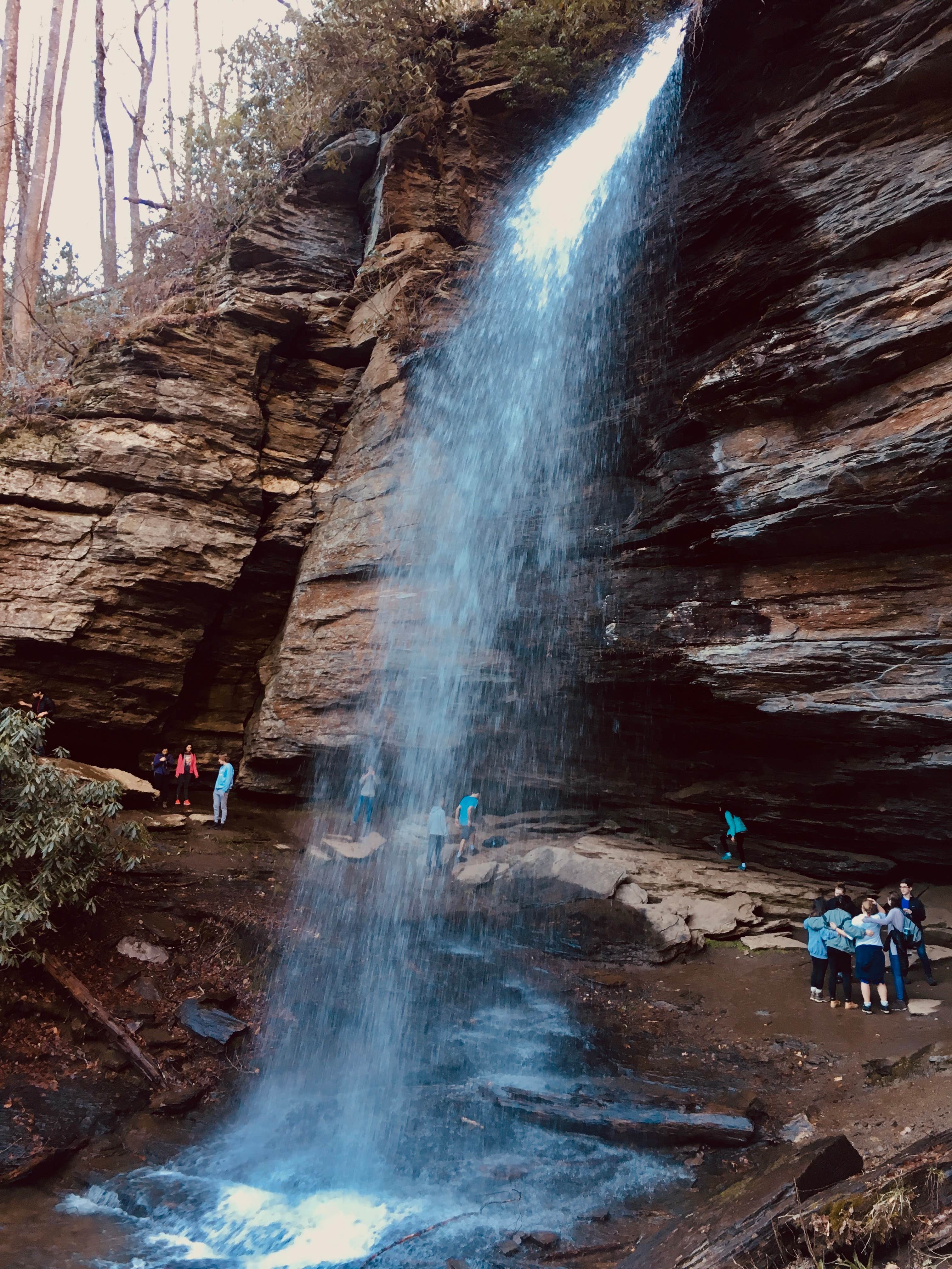 Camper submitted image from Pisgah National Forest Davidson River Campground - 4