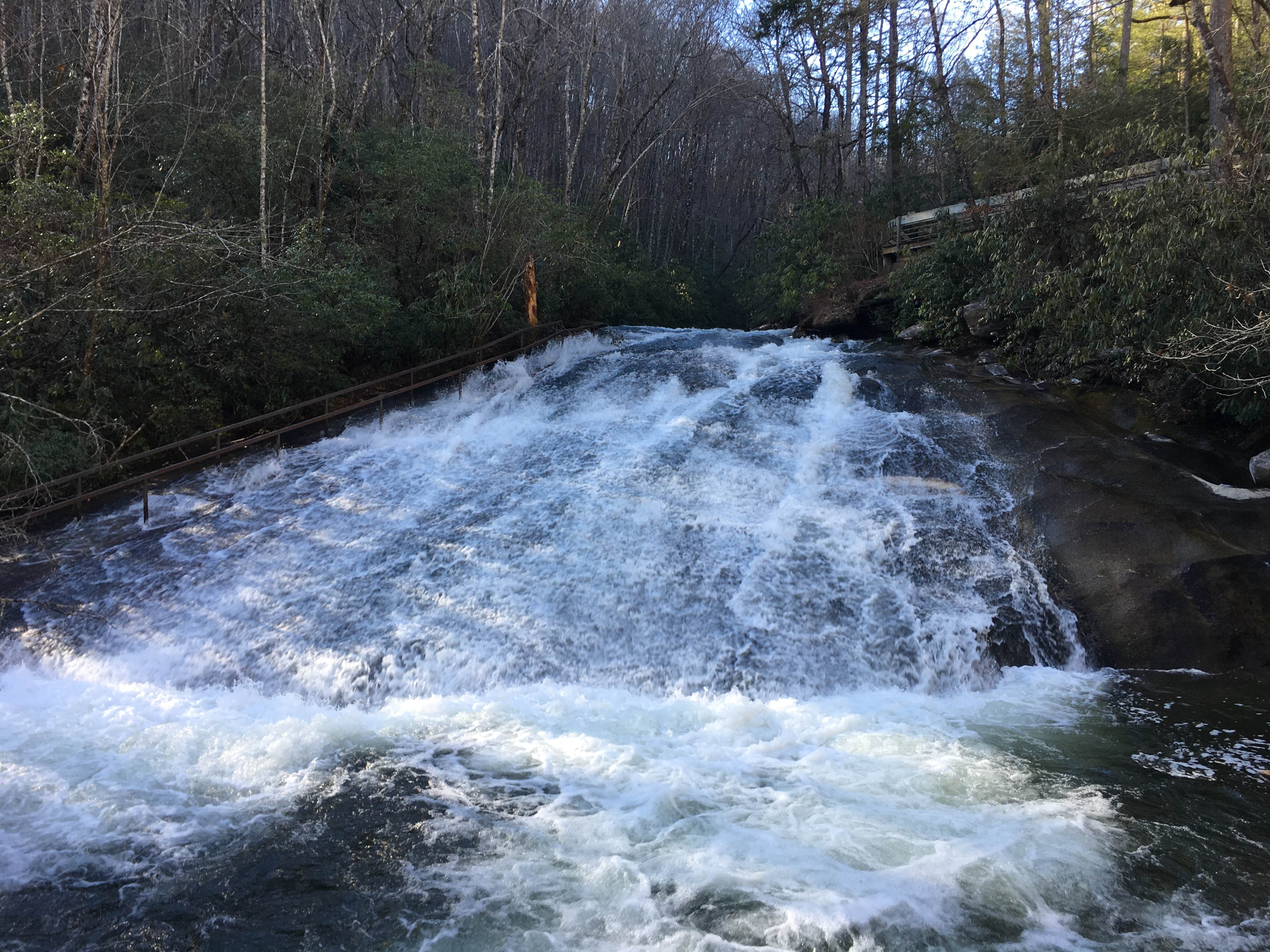 Camper-submitted photo at Pisgah National Forest Davidson River Campground near Candler, NC