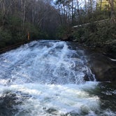 Review photo of Pisgah National Forest Davidson River Campground by Jeremy A., June 30, 2023
