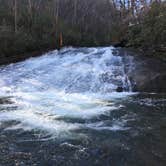 Review photo of Pisgah National Forest Davidson River Campground by Jeremy A., June 30, 2023