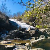 Review photo of Pisgah National Forest Davidson River Campground by Jeremy A., June 30, 2023