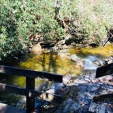 Review photo of Pisgah National Forest Davidson River Campground by Jeremy A., June 30, 2023