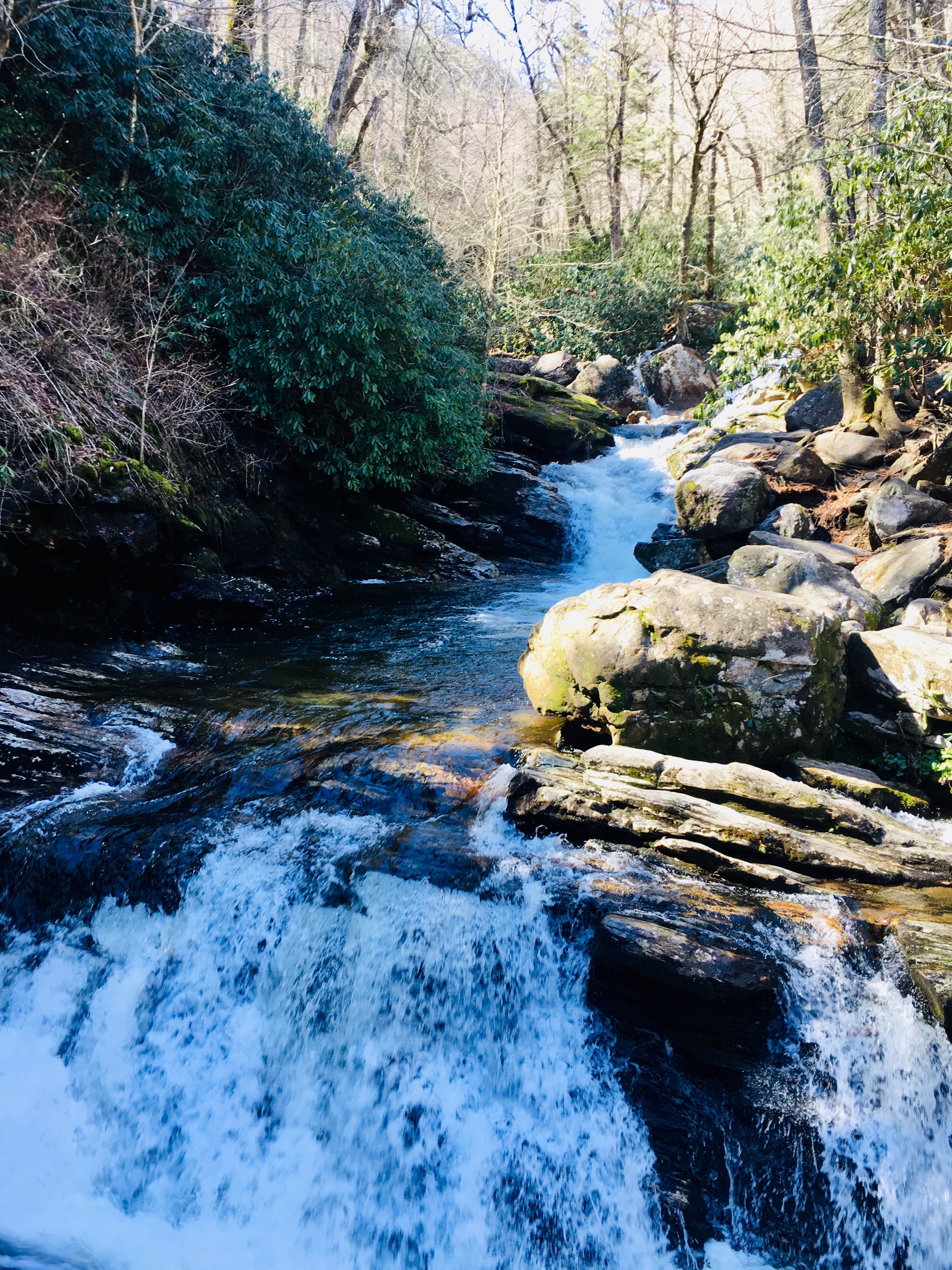 Camper-submitted photo at Pisgah National Forest Davidson River Campground near Candler, NC