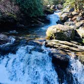 Review photo of Pisgah National Forest Davidson River Campground by Jeremy A., June 30, 2023