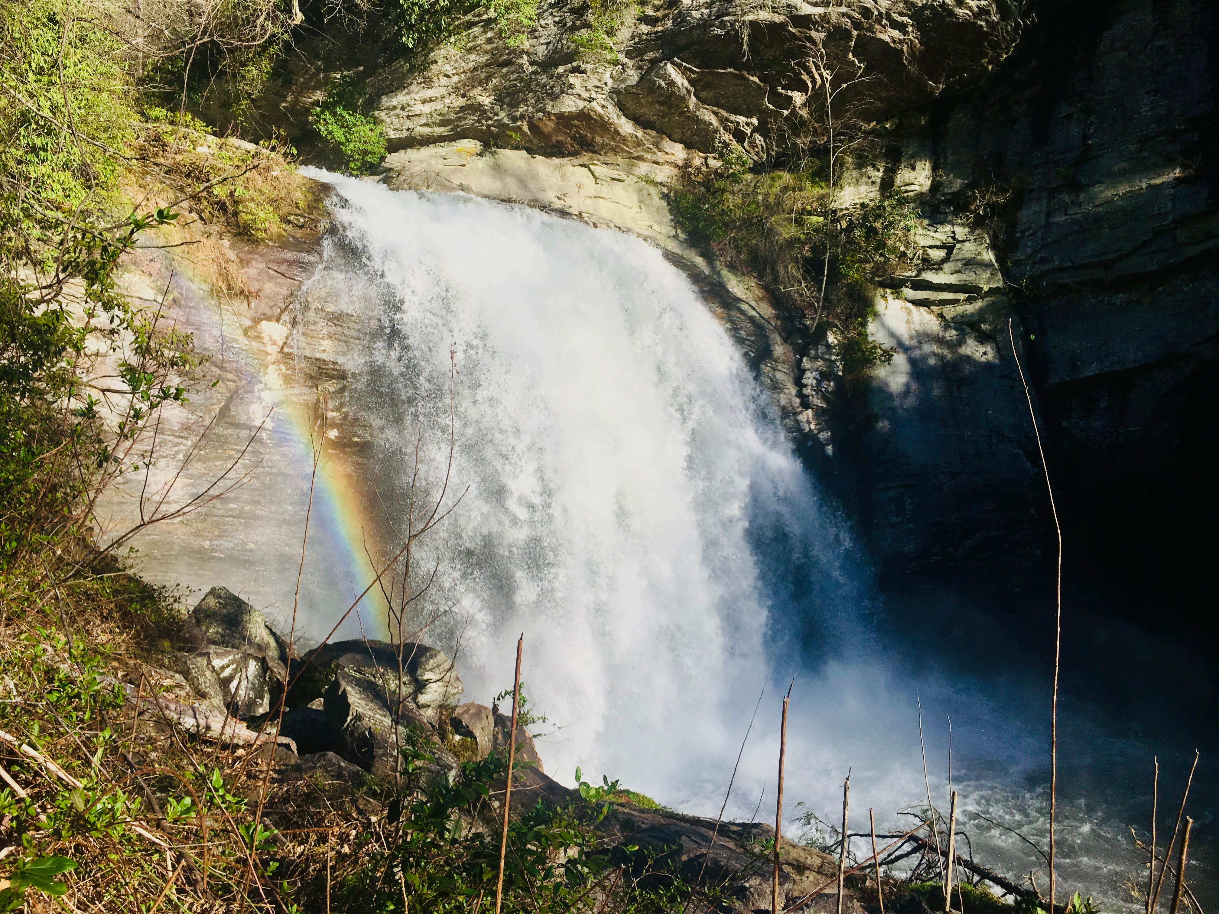 Camper-submitted photo at Pisgah National Forest Davidson River Campground near Candler, NC