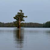 Review photo of Horseshoe Lake Alexander County by marcella , July 4, 2023