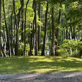 Review photo of Horseshoe Lake Alexander County by marcella , July 4, 2023