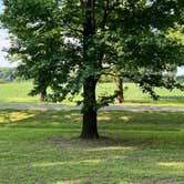 Review photo of Horseshoe Lake Alexander County by marcella , July 4, 2023