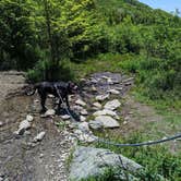 Review photo of Hickory Ridge Campground — Grayson Highlands State Park by Kristi D., July 4, 2023