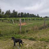 Review photo of Roaring River Vineyards RV Campground by Kristi D., July 4, 2023